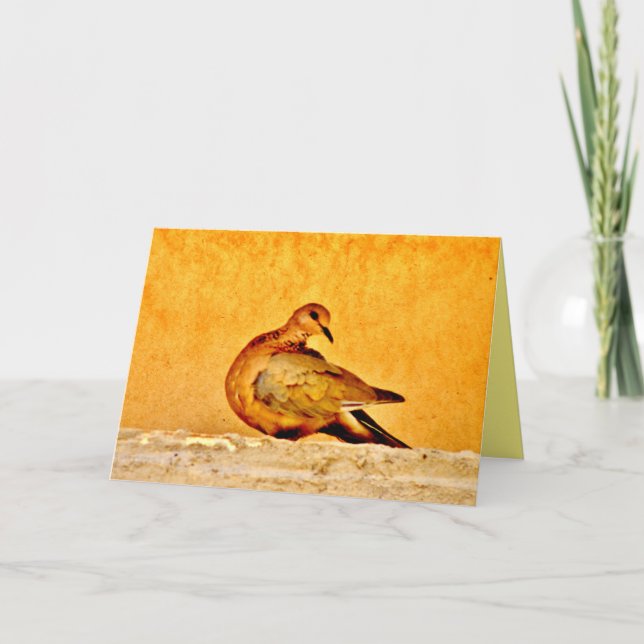 Cartão Beleza da pomba (Frente)