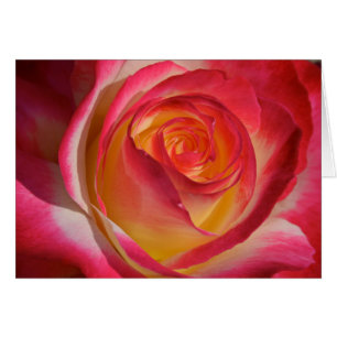 Cartão Beleza de dentro