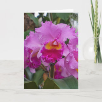Cartão Beleza de Orquídea