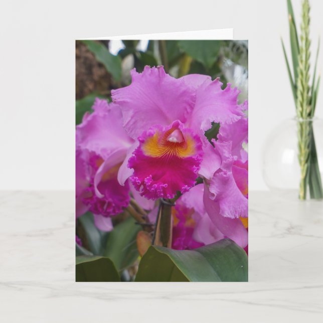 Cartão Beleza de Orquídea (Frente)