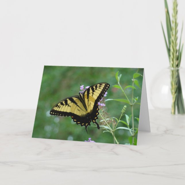 Cartão Beleza de Verão (Frente)