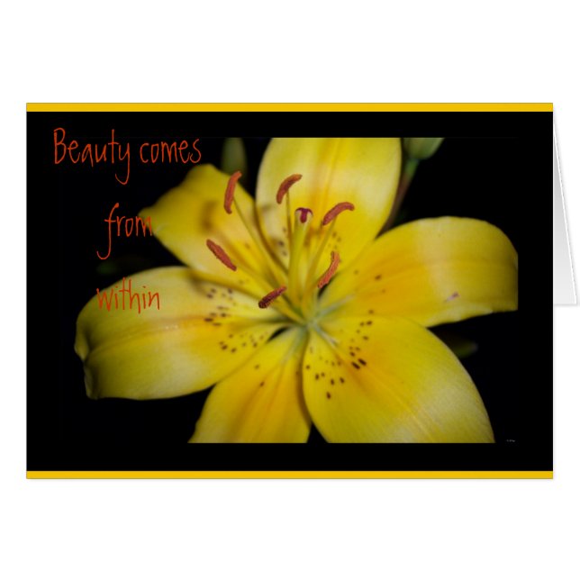 Cartão Beleza Dentro (Frente Horizontal)