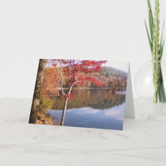 Cartão Beleza do outono