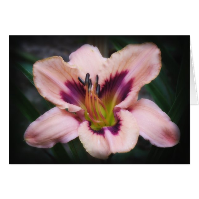 Cartão Beleza do Papel (Frente Horizontal)