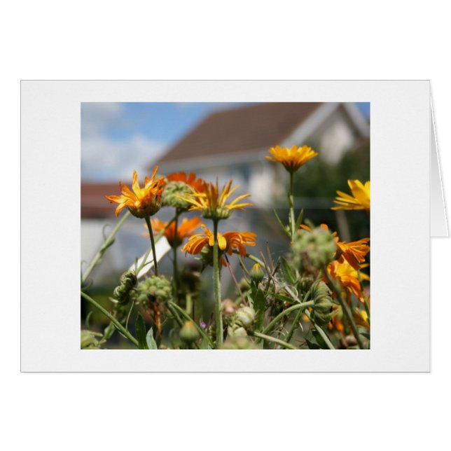 Cartão Beleza Esmagadora (Frente Horizontal)