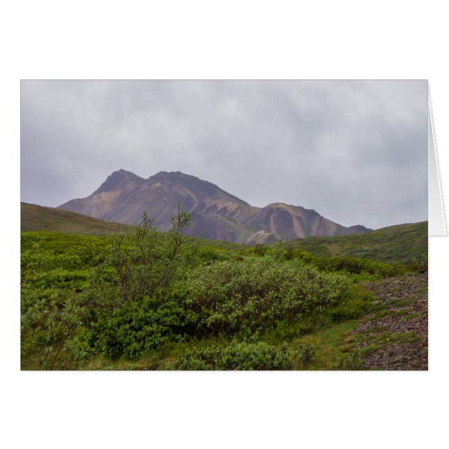 Cartão Beleza Giratória em Denali (Frente horizontal)