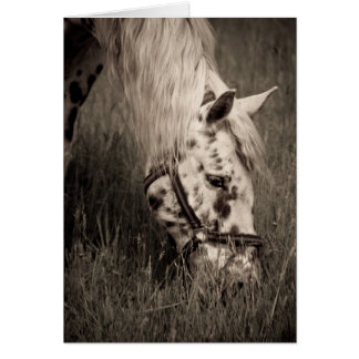 Cartão Beleza louca