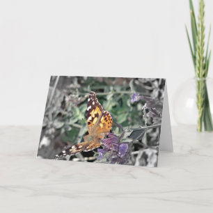 Cartão Beleza na Natureza