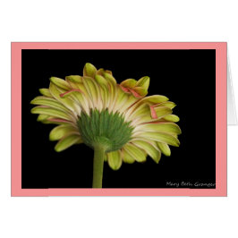 Cartão Beleza para dentro e para fora