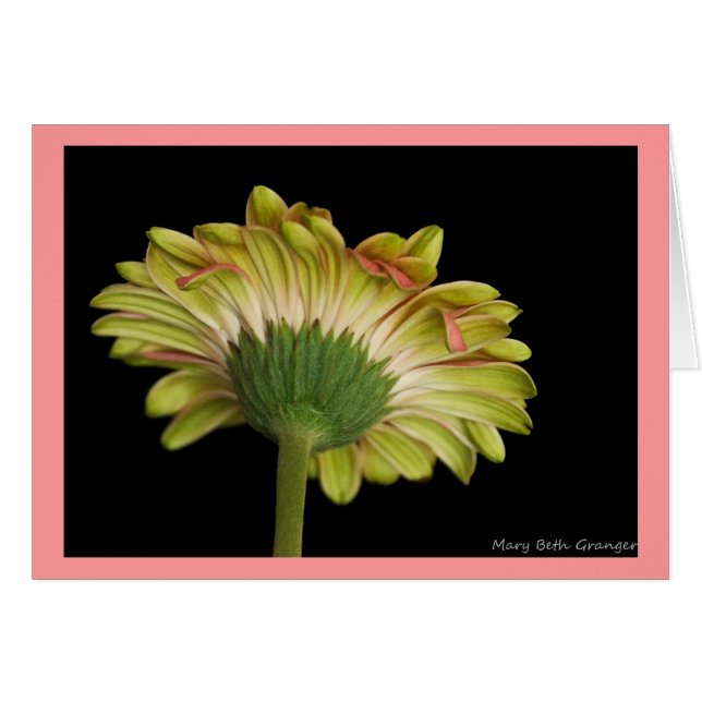 Cartão Beleza para dentro e para fora (Frente horizontal)