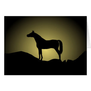 CARTÃO BELEZA PRETA