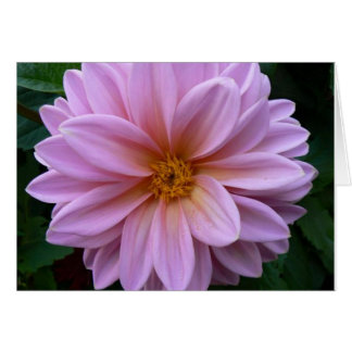 Cartão Beleza Rosa
