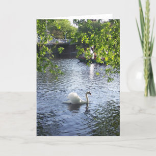 Cartão Beleza sob os ramo