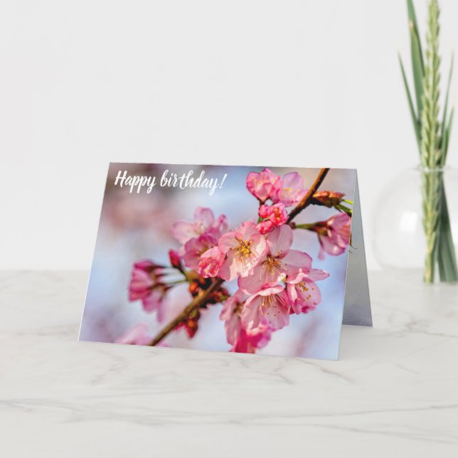 Cartão Beleza Superficial Das Flores Rosa Sakura Na Prima (Frente)