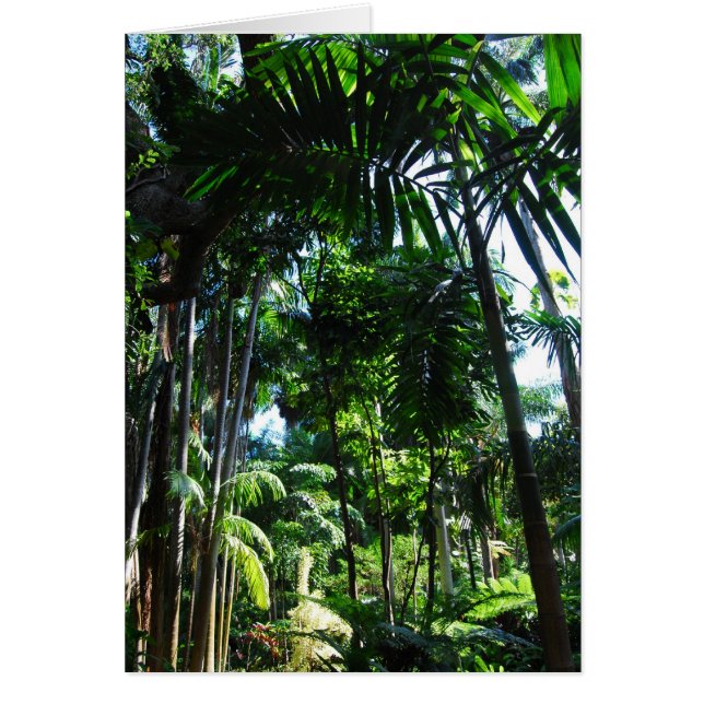 Cartão Beleza tropical (Frente)