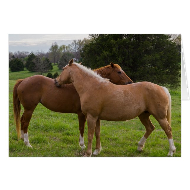 Cartão Belezas Bathing (Frente horizontal)