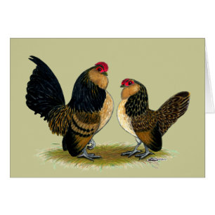 Cartão Belga d'Anvers Bantams: Quail