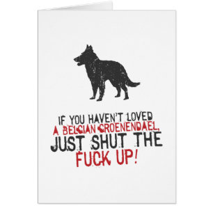 Cartão Belga Groenendael