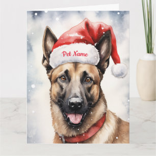 Cartão Belga Malinoi Christmas Personalizada