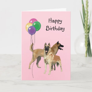 Cartão Belga Malinois, Balões de Aniversário