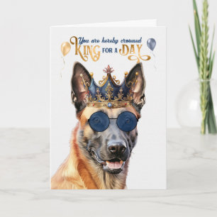 Cartão Belga Malinois Dog King para o dia feliz aniversár
