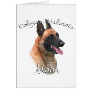 Cartão Belga Malinois Mãe 2