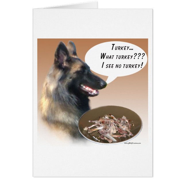 Cartão Belga Tervuren Turquia (Frente)