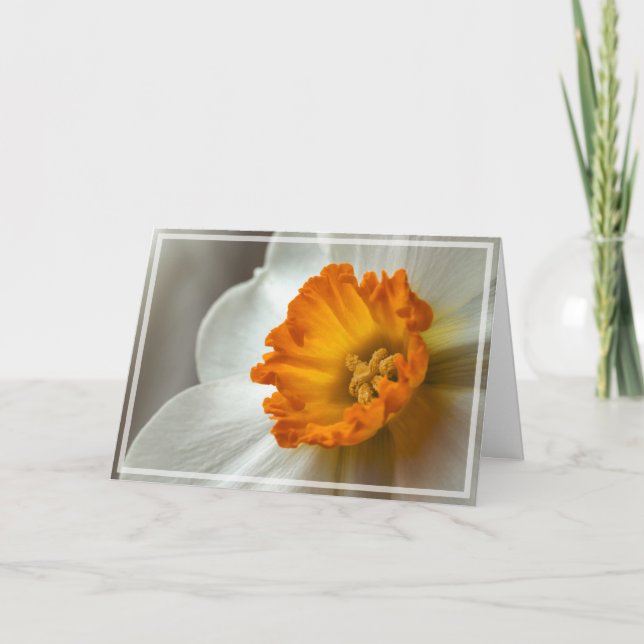 Cartão Belíssimo Narciso em Flor Macro (Frente)