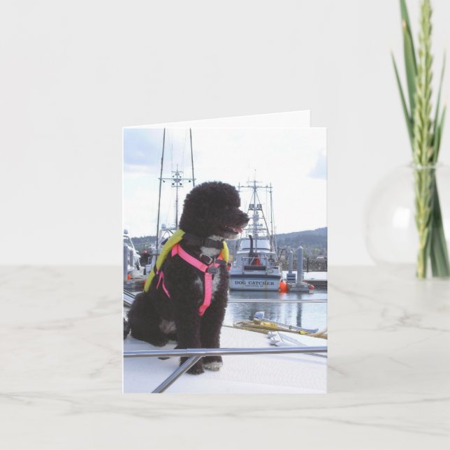 Cartão Bella e o coletor de cão (Frente)