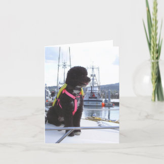 Cartão Bella e o coletor de cão