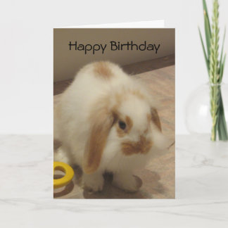 Cartão Belle The Rabbit Birthday Card