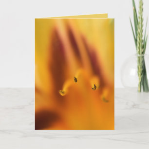 Cartão Belo Abstrato Laranja Tigre Lily Flower Vazio