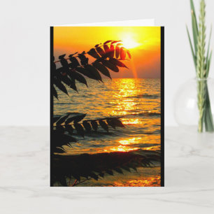 Cartão Belo Aniversário Do Sol Ao Sol!