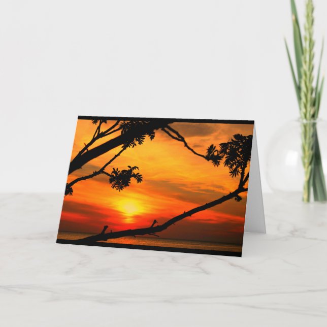 Cartão Belo Aniversário Do Sol Ao Sol (Frente)