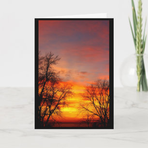 Cartão Belo Aniversário Do Sol Ao Sol