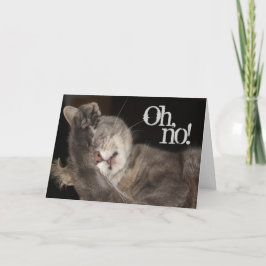 Cartão Belo Aniversário, Gato