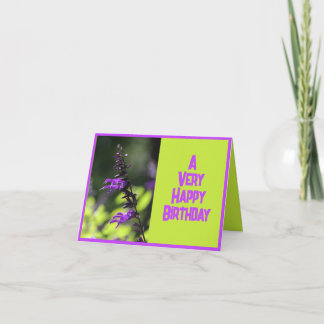 Cartão Belo Bright Purple Salvia Flowday