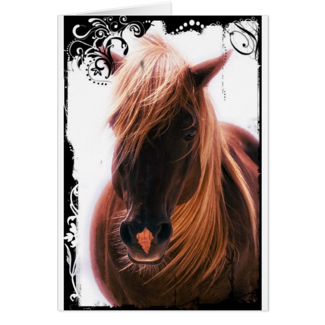 Cartão Belo Cavalo (Frente)