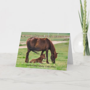 Cartão Belo Cavalo e Pé em uma pastagem