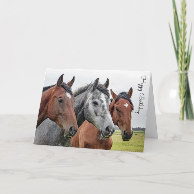 Cartão Belo Cavalo Personalizado Aniversário (Frente)