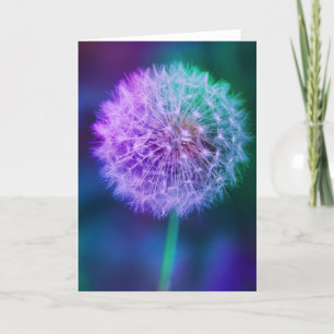 Cartão Belo Dandelion no fundo verde e azul