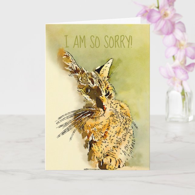 Cartão Belo Desculpe Gatinho Red Tabby Foto Substituível (Orquídea)