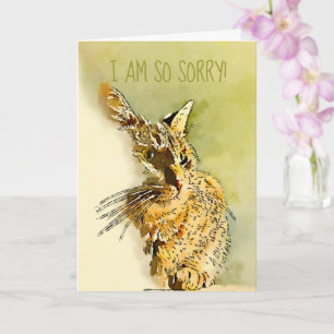 Cartão Belo Desculpe Gatinho Red Tabby Foto Substituível