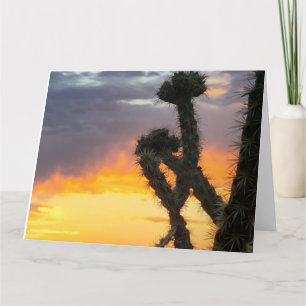 Cartão Belo Deserto Cactus Sunrise