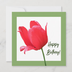 Cartão Belo Feliz Aniversário bonito tulipa vermelha flor