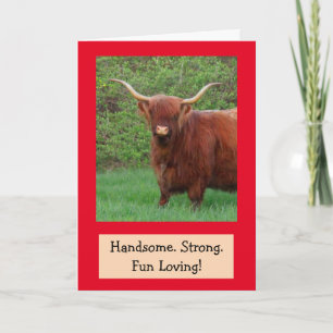 Cartão Belo Funny Highland Steer Birthday