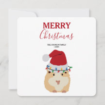 Belo Hamster Engraçado Animal Papai Noel