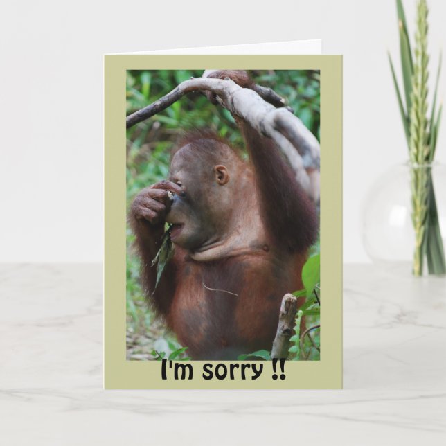 Cartão Belo Parabéns (Frente)