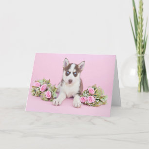 Cartão Belo Rouco Puppy com Rosas Rosa