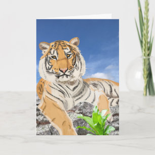 Cartão Belo Tigre